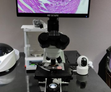 Ekranlı Mikroskop Cihazı